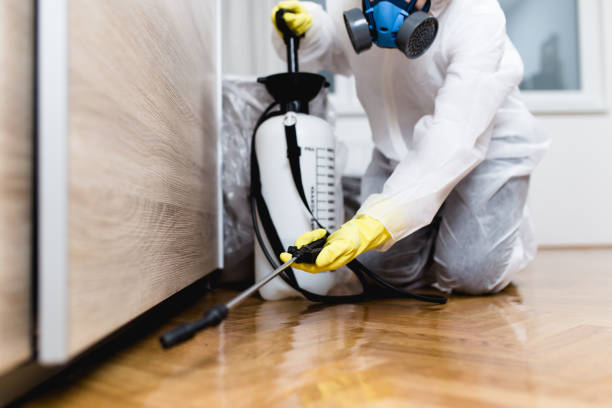 Best Flea Control Services  in Baden, MD