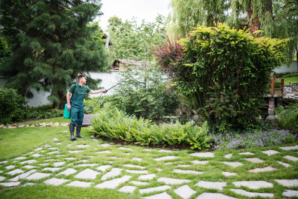 Reliable Baden, MD Pest Control Solutions