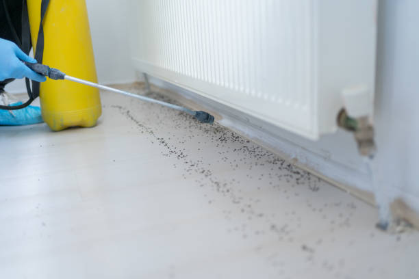 Pest Control Cost in Baden, MD